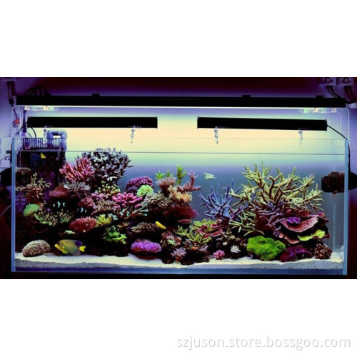 Make your aquarium tank become to the sea,LED aquarium light can do this